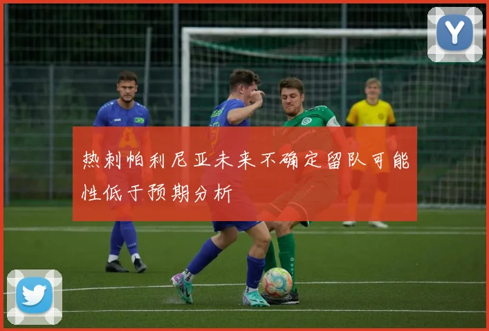 热刺帕利尼亚未来不确定留队可能性低于预期分析