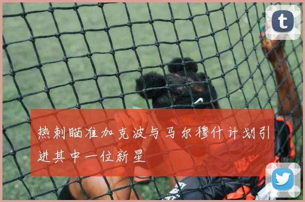 热刺瞄准加克波与马尔穆什计划引进其中一位新星