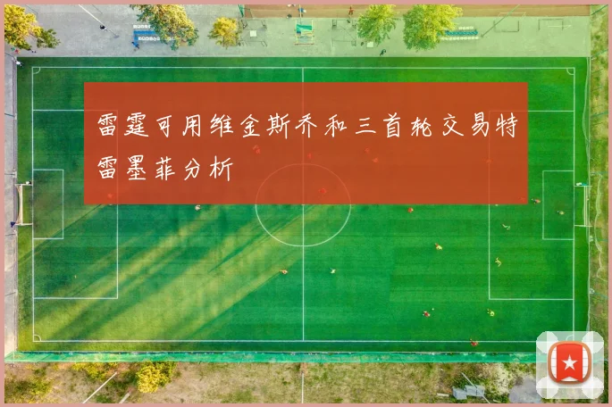 雷霆可用维金斯乔和三首轮交易特雷墨菲分析