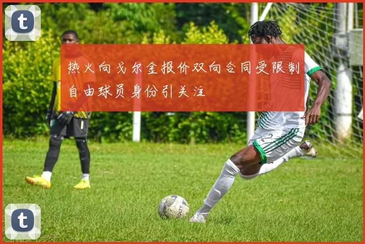 热火向戈尔金报价双向合同受限制自由球员身份引关注
